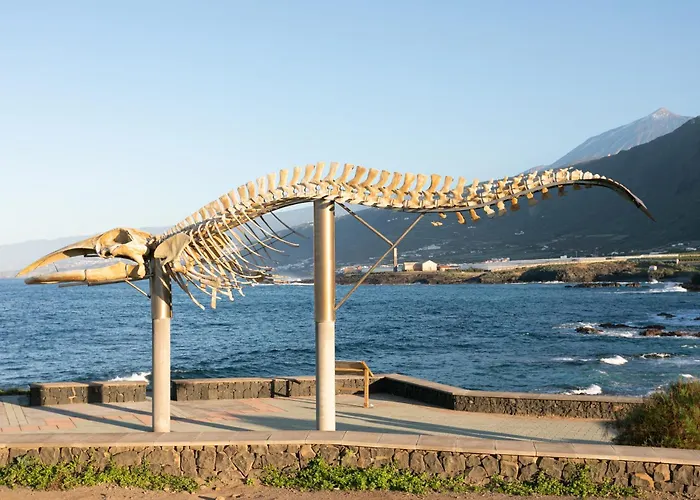 De 4 Dormitorios, Moderna Y Nueva, Con Aire Acondicionado, Cerca Del Mar Y Playa - Casa Maravilla 빌라 로스실로스