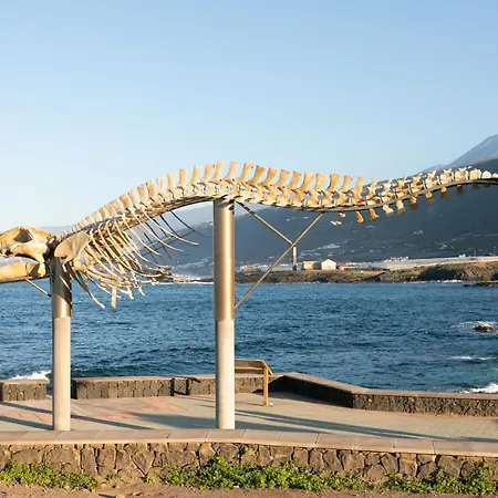 De 4 Dormitorios, Moderna Y Nueva, Con Aire Acondicionado, Cerca Del Mar Y Playa - Casa Maravilla فيلة لوس سيلوس